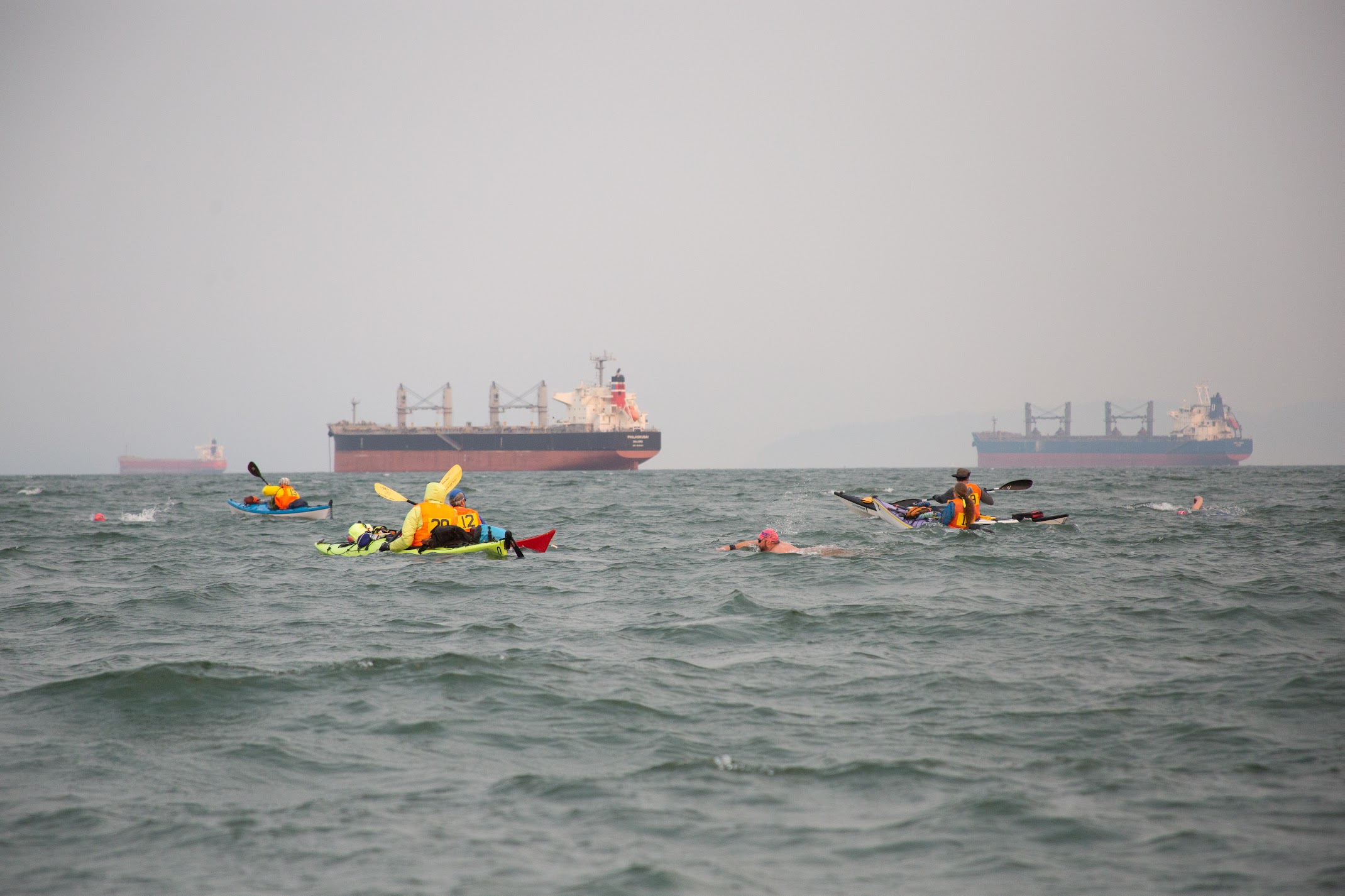 Kayakers and swimmers in english bay